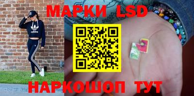 гидропоника Будённовск